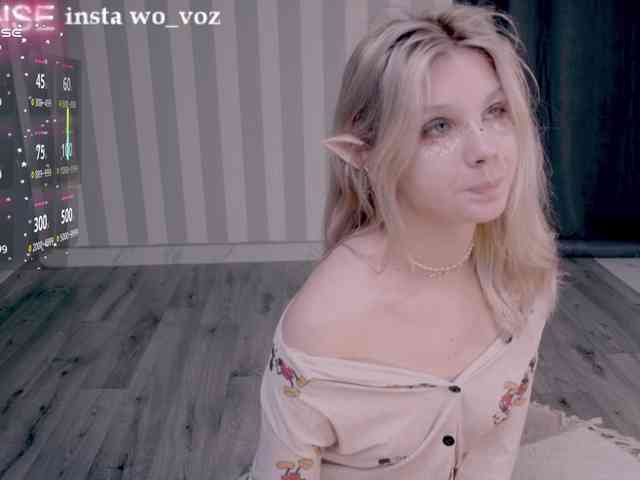 wo_voz webcam
