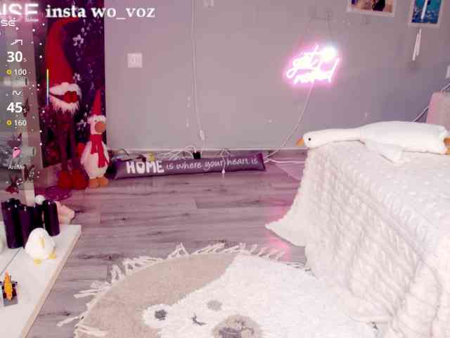 wo_voz webcam