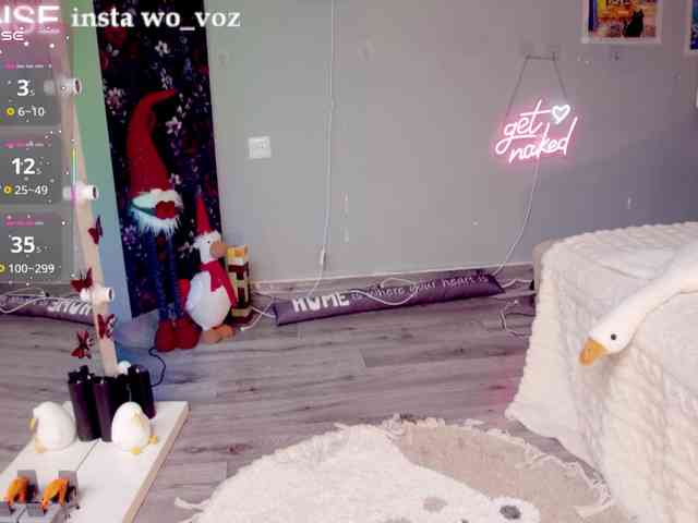 wo_voz webcam