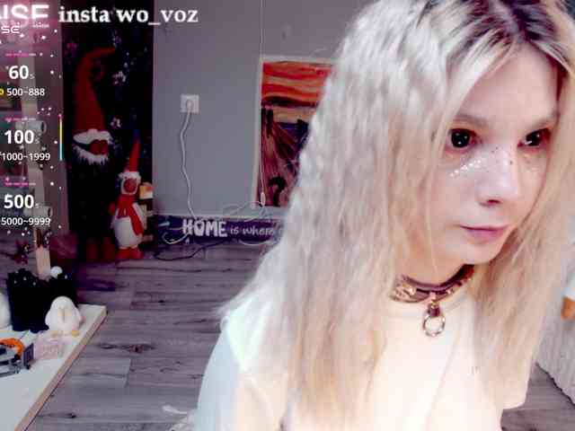 wo_voz webcam