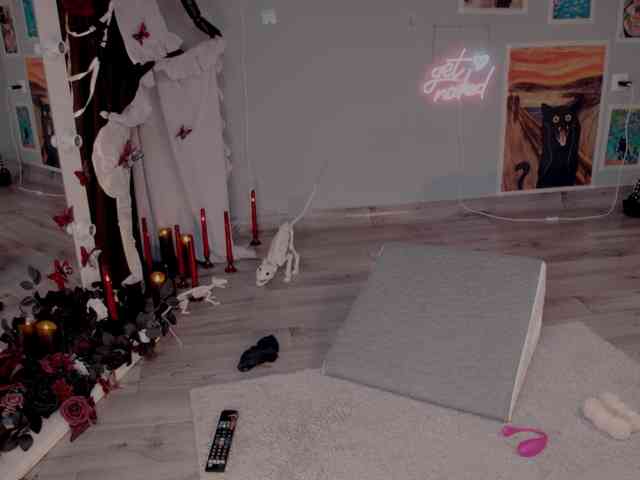 wo_voz webcam