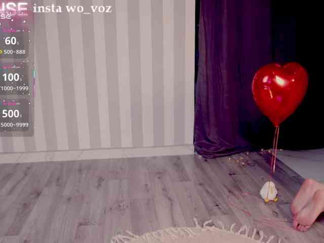 wo_voz webcam
