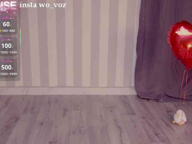 wo_voz webcam