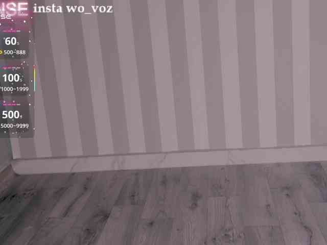 wo_voz webcam
