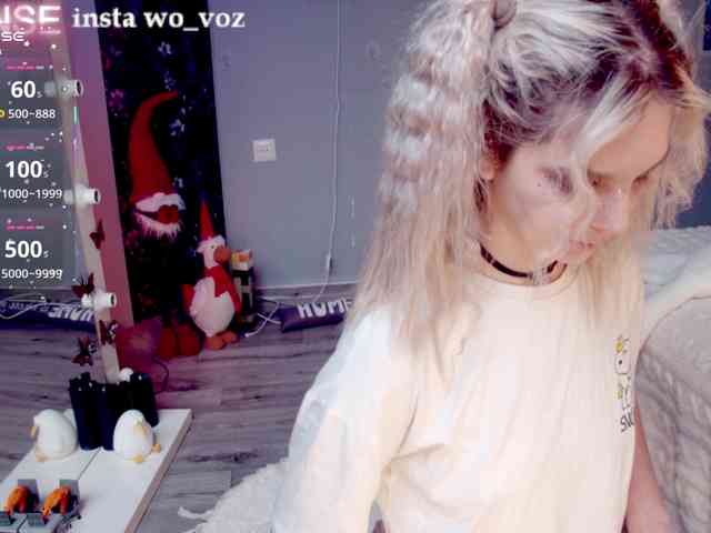 wo_voz webcam