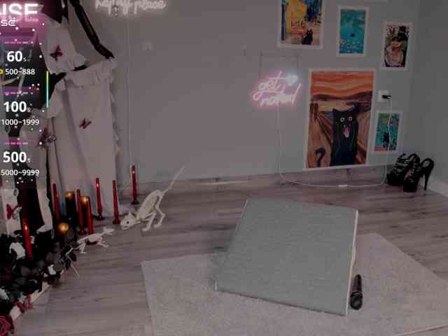 wo_voz webcam
