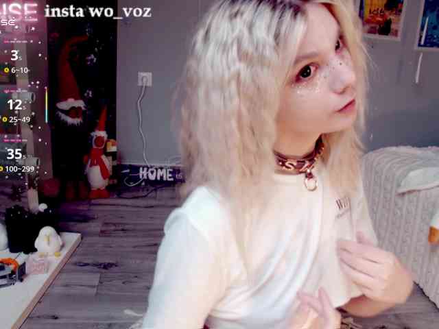 wo_voz webcam