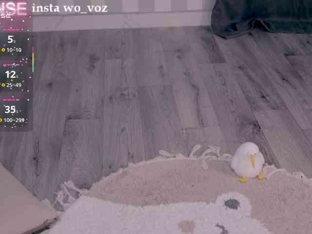 wo_voz webcam