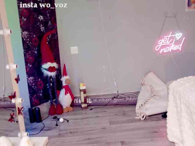 wo_voz webcam