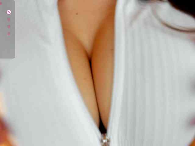 -Smetanka- webcam