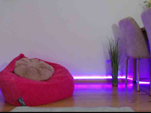 iamjoyy1 webcam