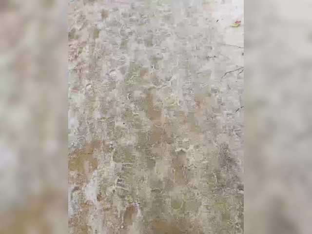 Preview of relishsavor