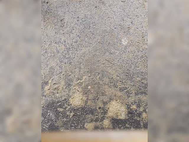 Preview of relishsavor