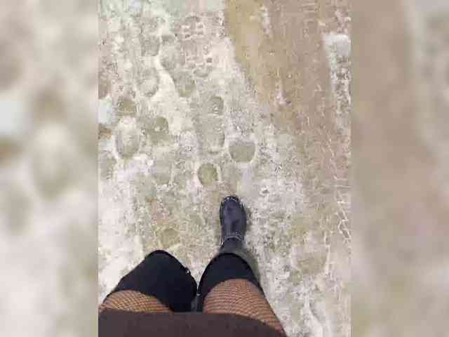 relishsavor Live Webcam on BongaCams