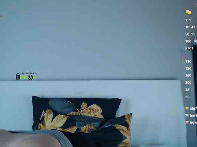 DreamDia webcam