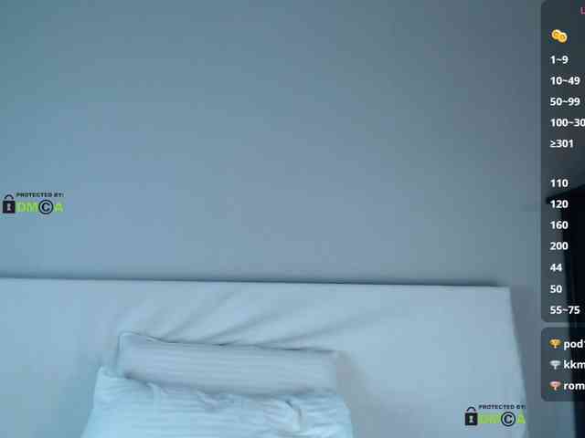 DreamDia webcam