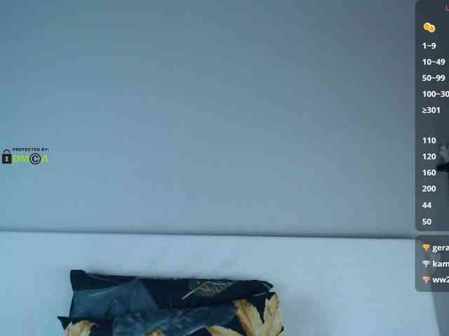 DreamDia webcam