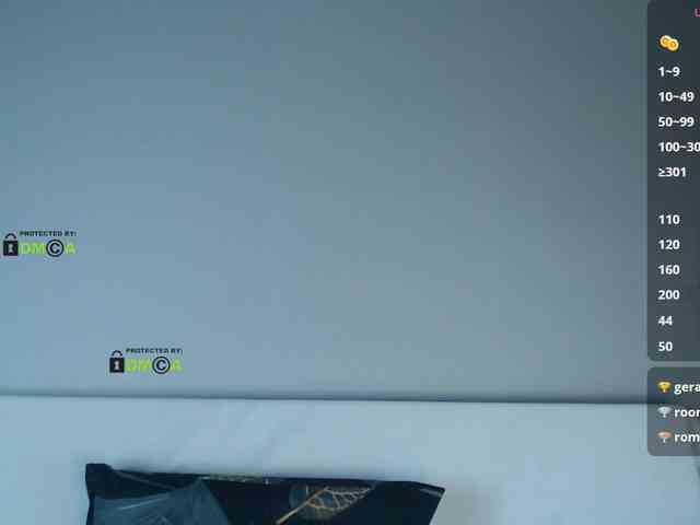 DreamDia webcam