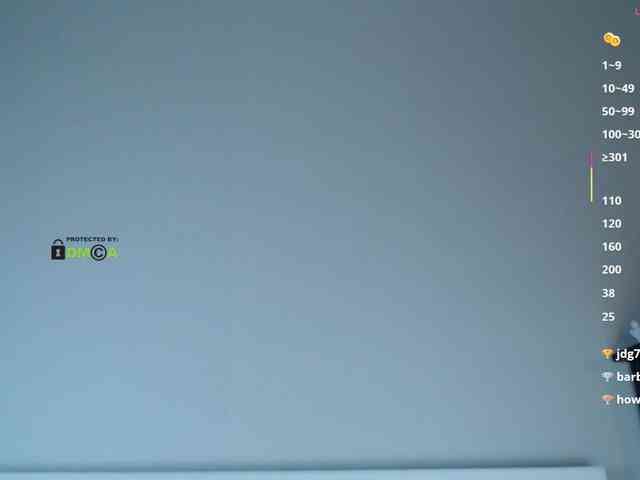 DreamDia webcam