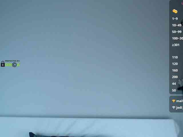 DreamDia webcam