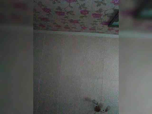 Zarevna webcam