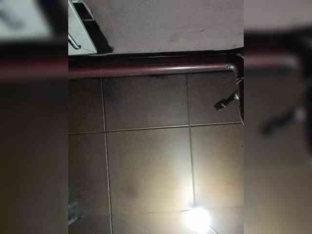 Zarevna webcam