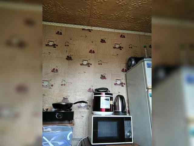 Zarevna webcam