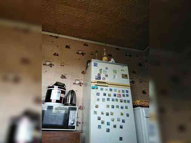 Zarevna webcam