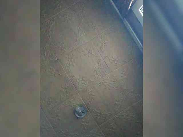 Zarevna webcam