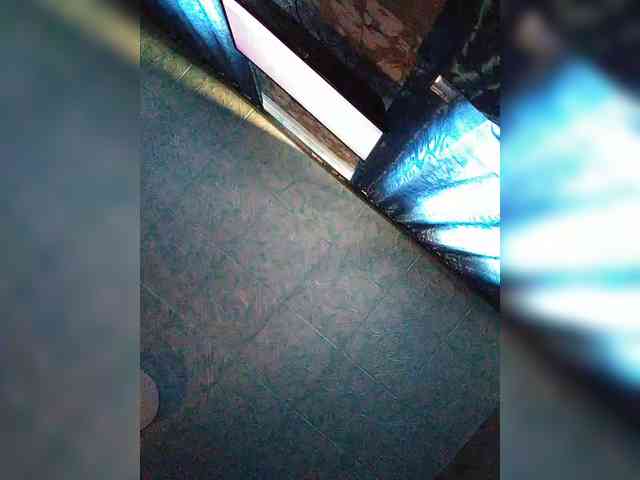 public voyeur web cam Zarevna