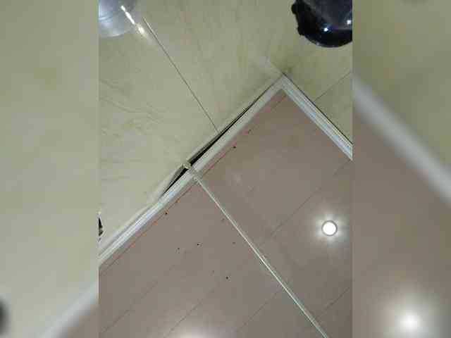 Zarevna webcam