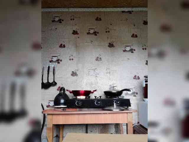Zarevna webcam