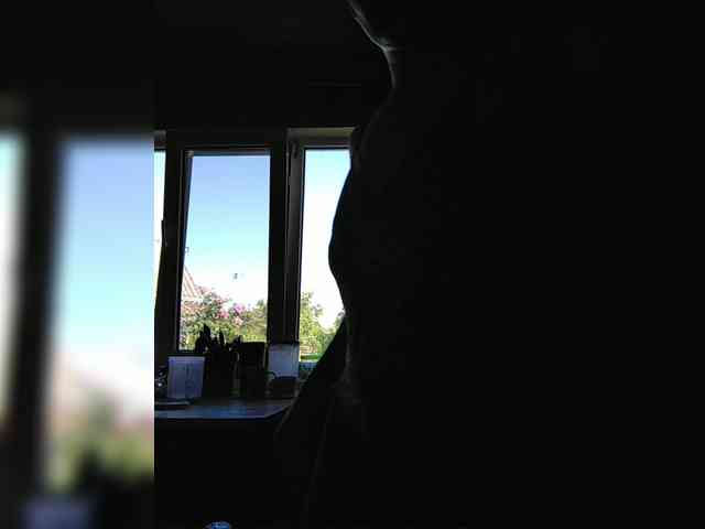 Zarevna webcam