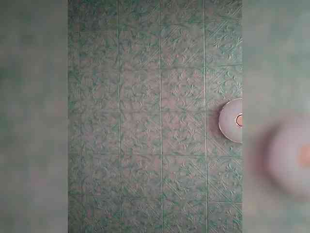 Zarevna webcam