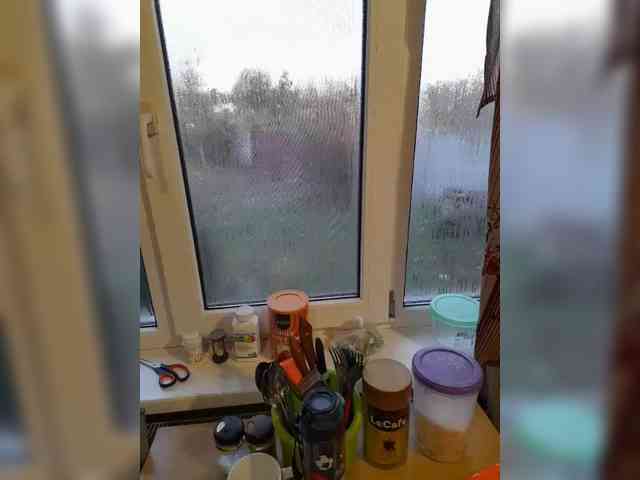 Zarevna webcam