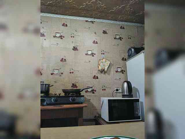 Zarevna webcam