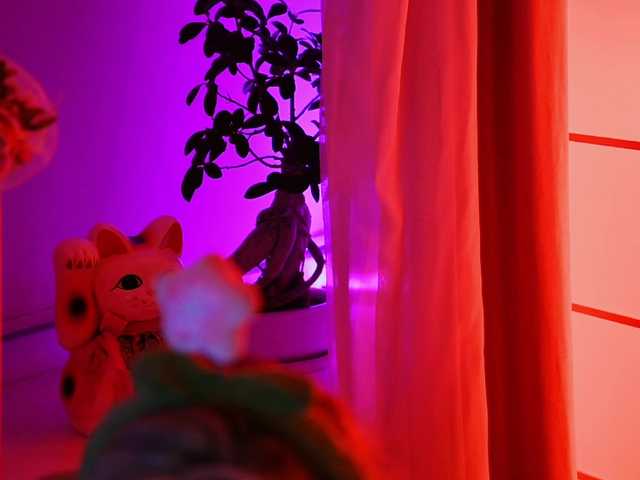 000---'s BongaCams show and profile