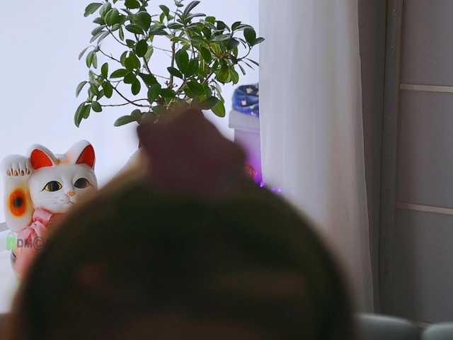 000---'s BongaCams show and profile