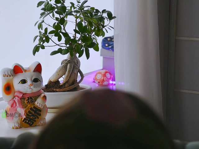 000---'s BongaCams show and profile