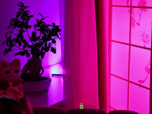 000---'s BongaCams show and profile