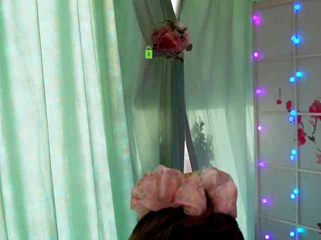 -ANN webcam
