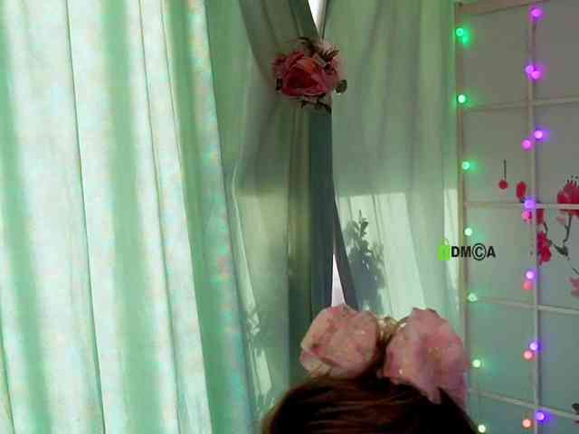 -ANN webcam