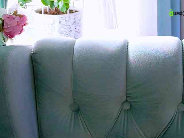 -ANN webcam
