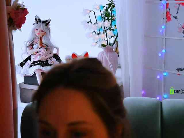 -ANN webcam