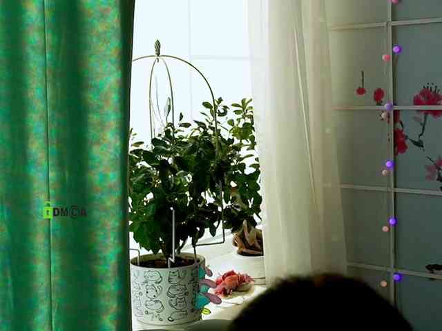 -ANN webcam