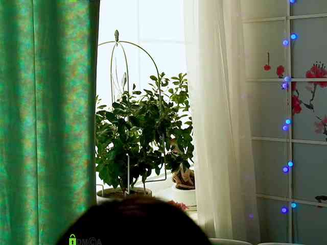 -ANN webcam