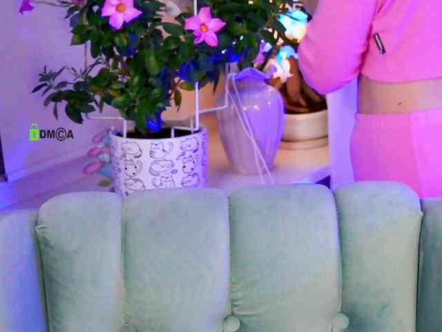 -ANN webcam