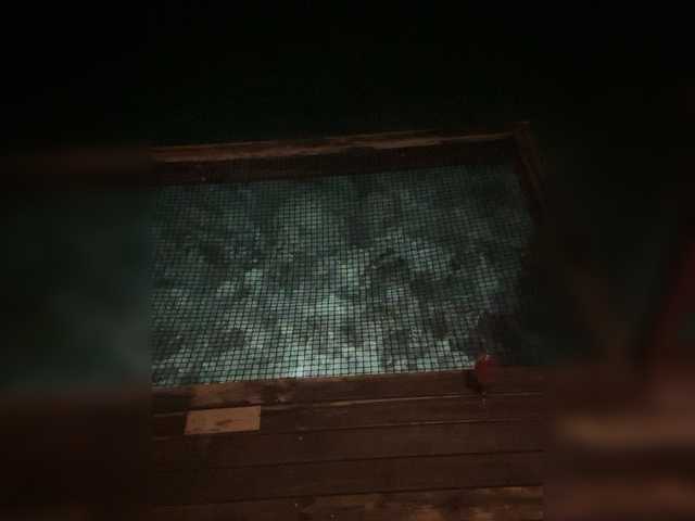 go to chat with Taanni