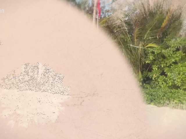 Taanni's BongaCams show and profile