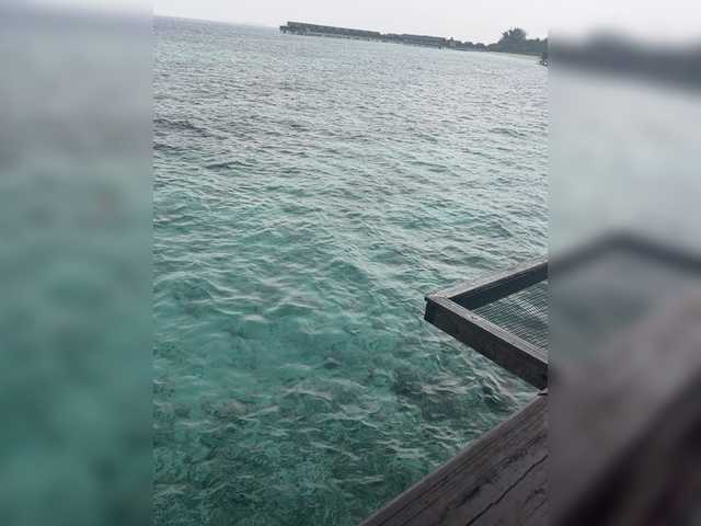 go to chat with Taanni